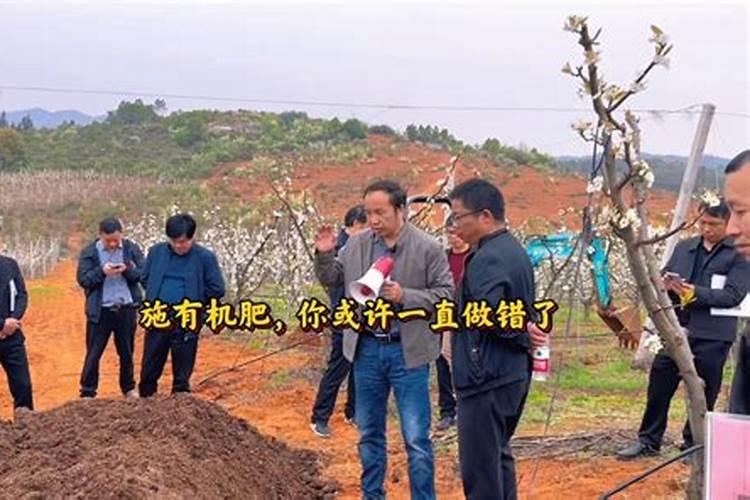 养栀子花的肥料 栀子花最好的肥料是什么怎么施