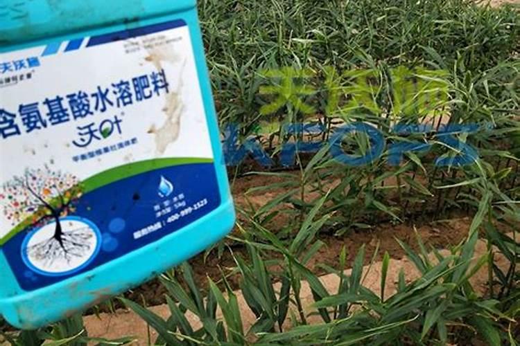 全水溶性肥料全水溶性冲施肥料系列