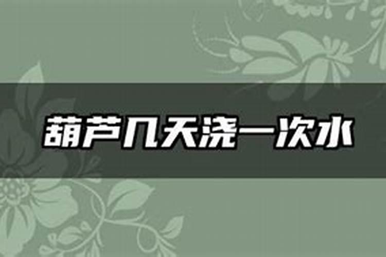 防止西葫芦落花落果主要有什么措施