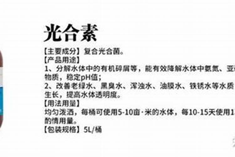 池塘水发黑快速处理方法