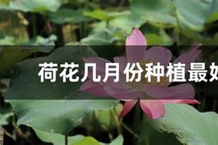 真假复合肥识别方法 分辨复合肥真假最简单的方法