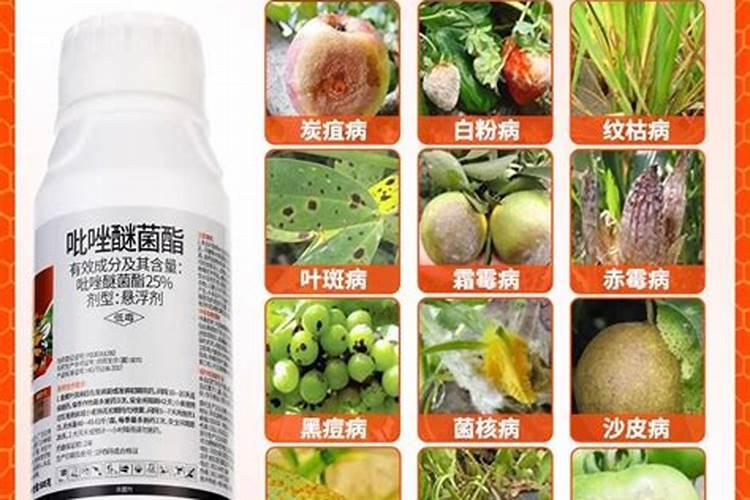 7月份苹果树打什么农药？