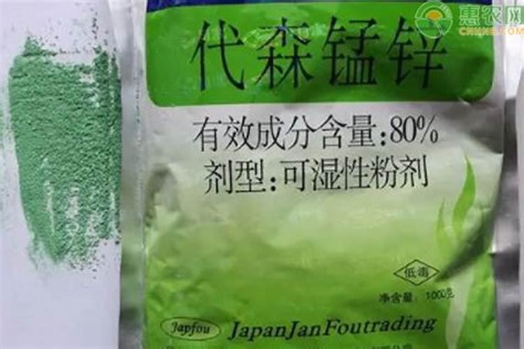豆角根腐病为什么会出现？有哪些有效的防治措施吗？
