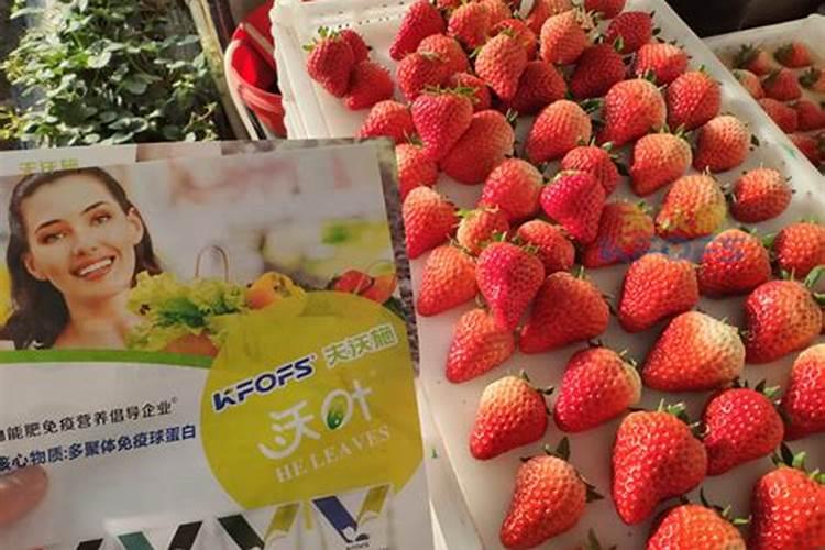 磷酸二氢钾可以和硼肥,钙肥一起混合使用吗