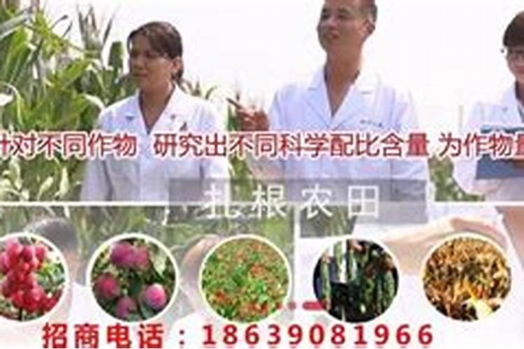 请问徐州地区西兰花球期怎样追肥好？谢谢