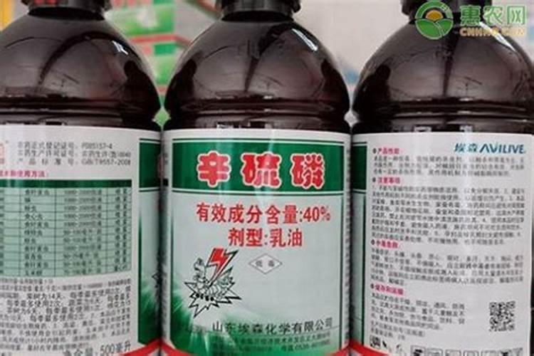 萝卜地蛆的防治药物