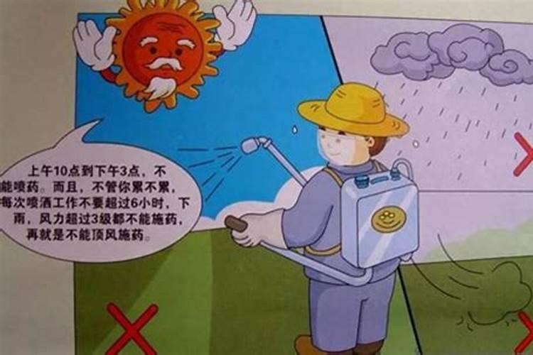 芸苔素隔多久能打二次
