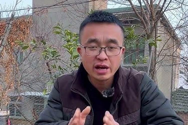 种菜一般都用什么肥料