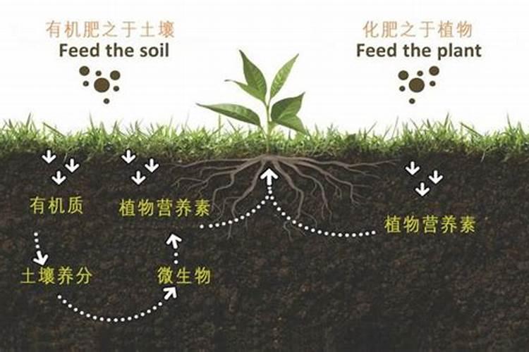 氨基酸原粉可以与底肥混合用吗