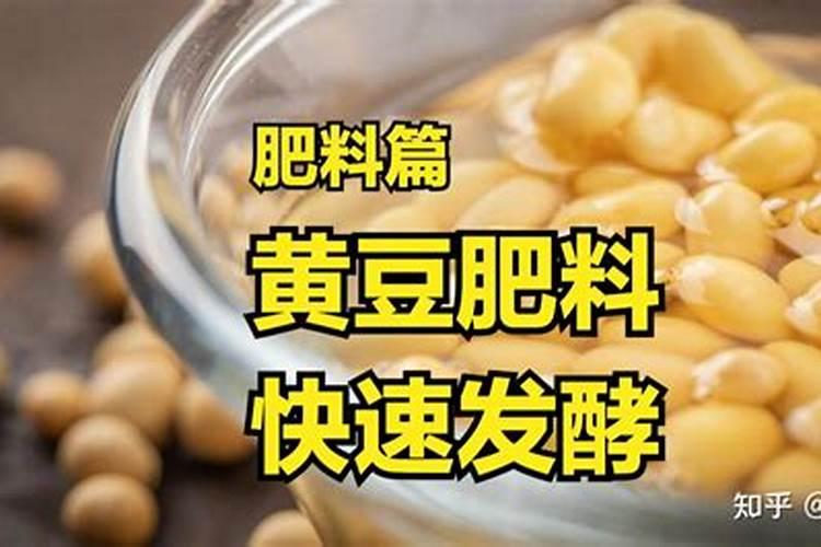 生黄豆做肥料最佳最简单方法