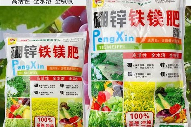 湖南向日葵硼 锌生产花卉百科