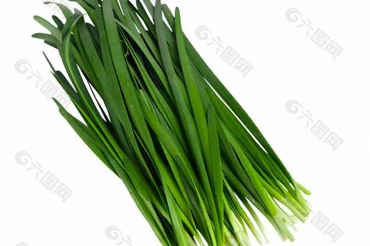 老师好,韭菜黄叶是什么原因