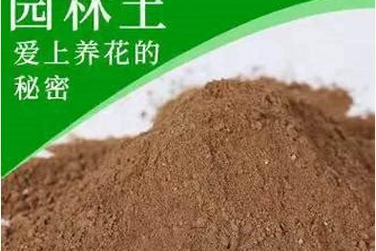 沙子地种棉花应该怎么施肥？