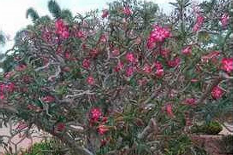 沙土、沙壤土、粘土、壤土有什么区别？