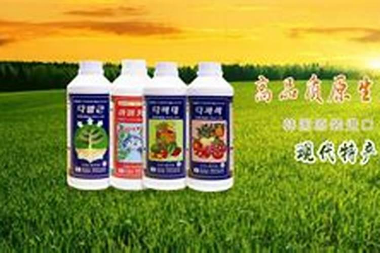 山东有实力的肥料公司有哪些？