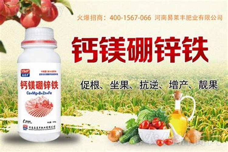 1克硼肥兑多少斤水合适？