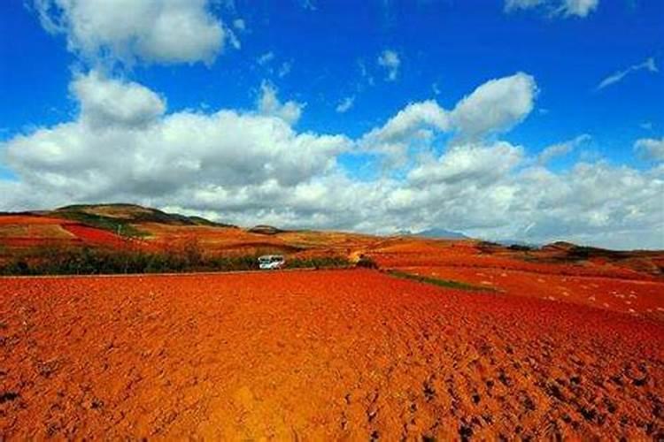 路富达灌根后多少天后可浇水