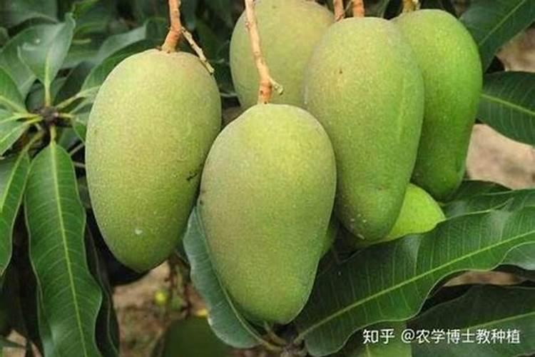 农用氨基酸的用法与用量