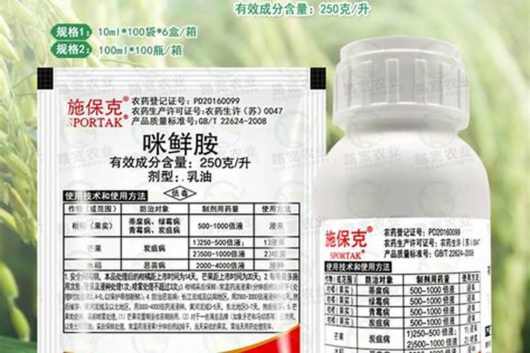 兰花炭疽病用什么药