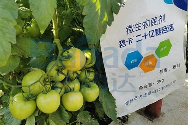 如何使用蔬菜冲施肥的使用方法