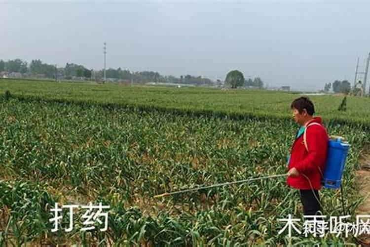 化肥怎么提取硝酸an