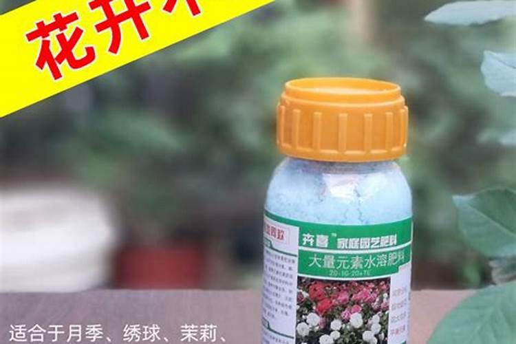 养花一般用什么肥料最好,养花用哪种肥料比较好