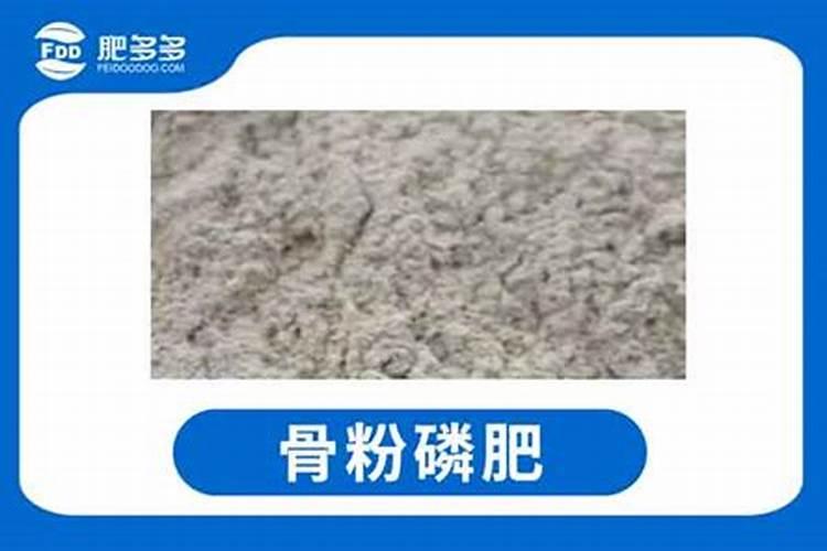 骨粉兑水浇花还是埋在土里好(怎么操作制作骨粉给花浇肥)