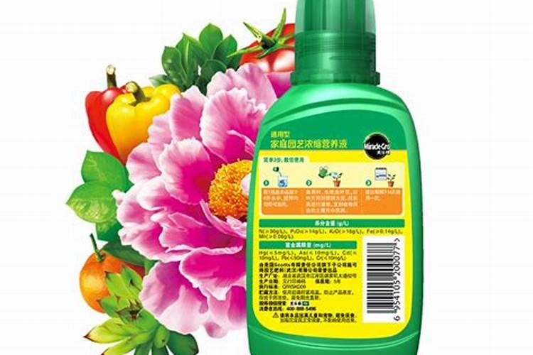 氮肥养花使用方法