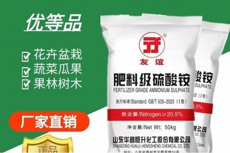 油茶树苗多少钱一棵,价格在2元～30元之间