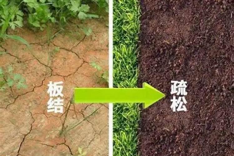 市场上中量元素水溶肥怎么选择