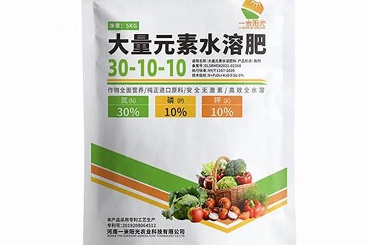 柑橘施壮果肥最佳时间 施肥方法有哪些