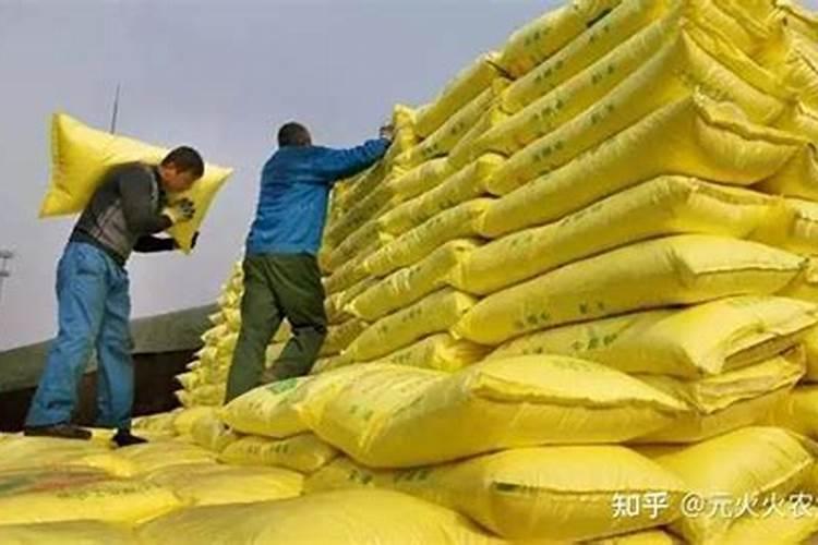 中盐化工是什么概念股？