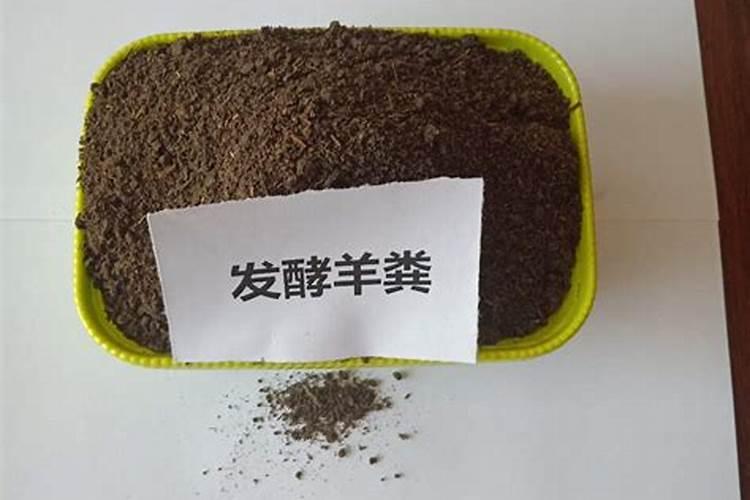大棚蔬菜常用肥料有哪些