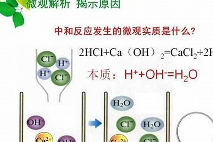 茶树最忌三种肥料