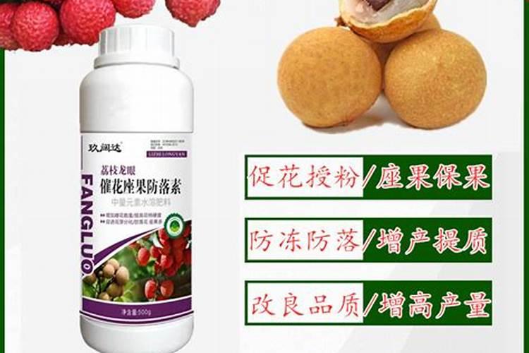 荔枝专用叶面肥什么好