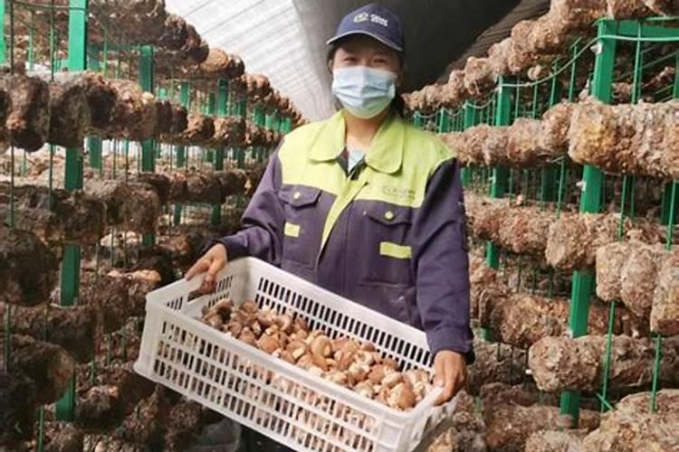 兰州有什么好吃的