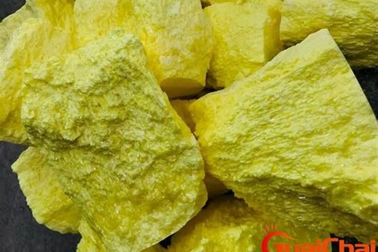 白蜡树生钻木虫怎么治