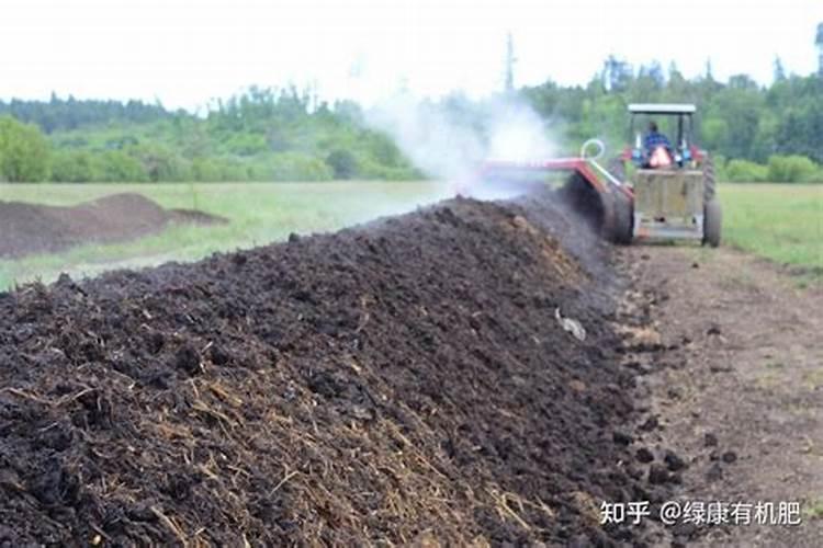 怎样办理农肥登记证