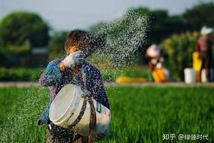 微量元素水溶肥多久用一次 微量元素水溶肥料的适用作物和使用方法百 ...