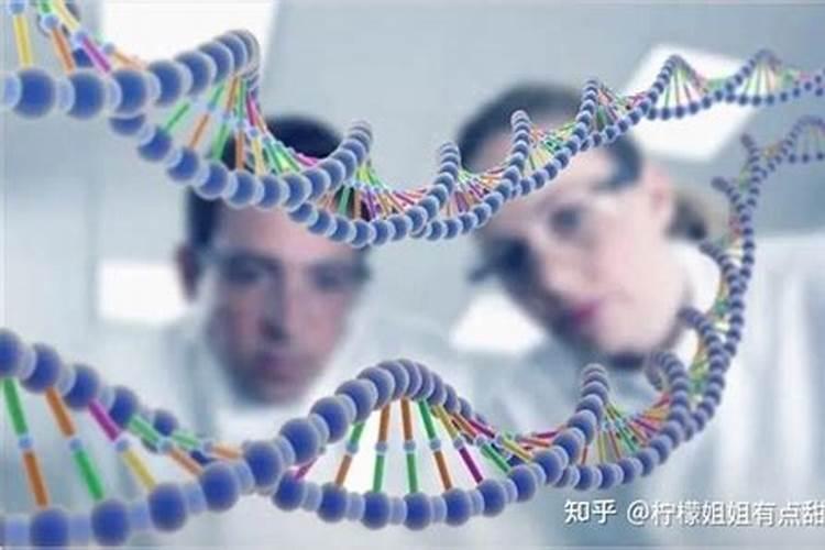 桃树花前花后打药技巧