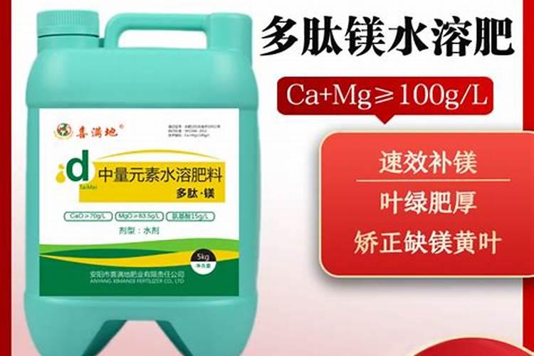 花叶子发黄用什么肥料 ？10种原因对症下药