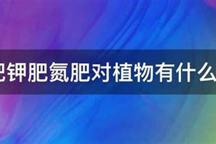 家里养花施什么肥最好 磷肥的作用