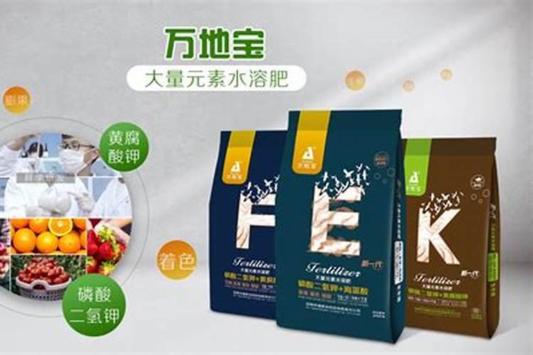 芒果开花期的管理技术是什么