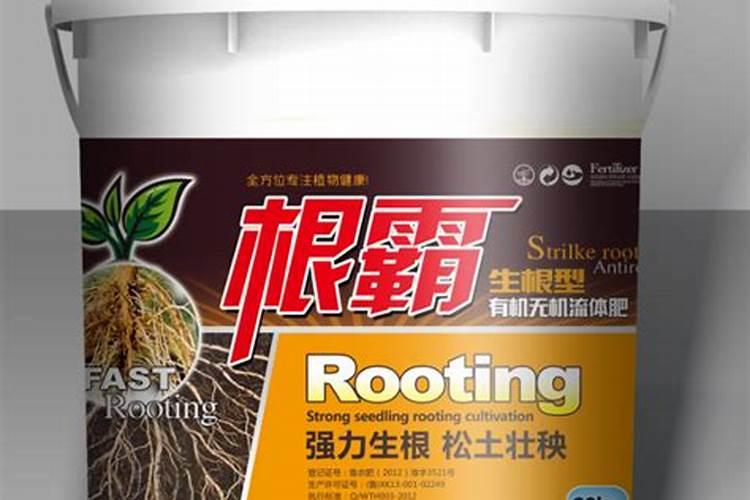 沃柑膨果期管理要点