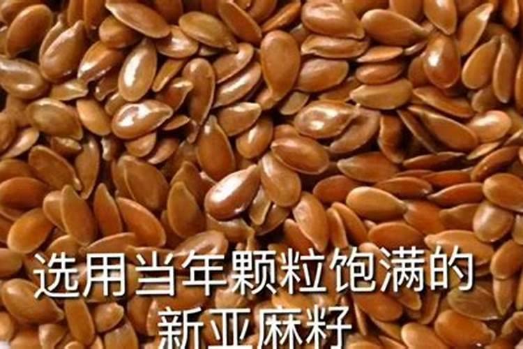 南方可以春天怎么种亚麻籽