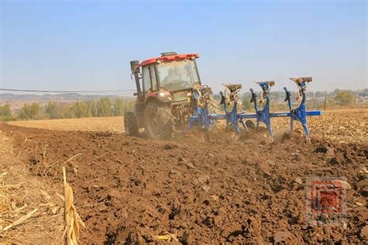 玉米秸秆还田需要再加什么化肥做底肥