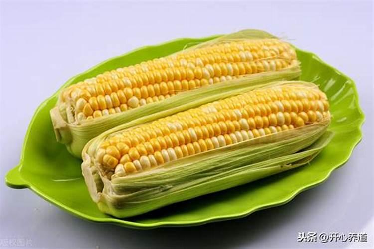 新长出来的豇豆发黑且尖有点是什么情况？