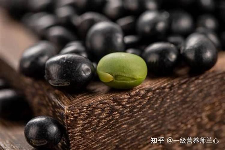 红豆几月份播种比较好活