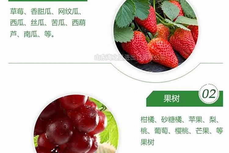 发酵鱼蛋白肥每斤多少成本