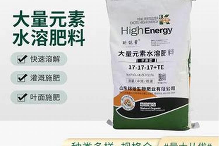 青苔地下部分的根状物其实是什么